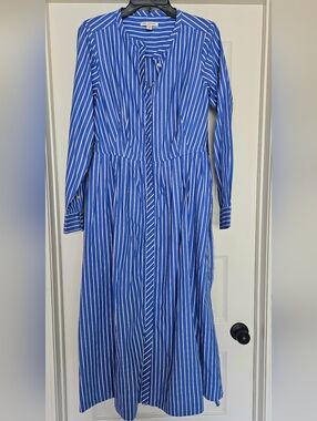 Blue Striped Maxi Shirt Dress by Fawn & Forest
